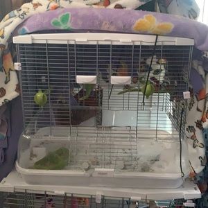 Not even a year old bird cage
